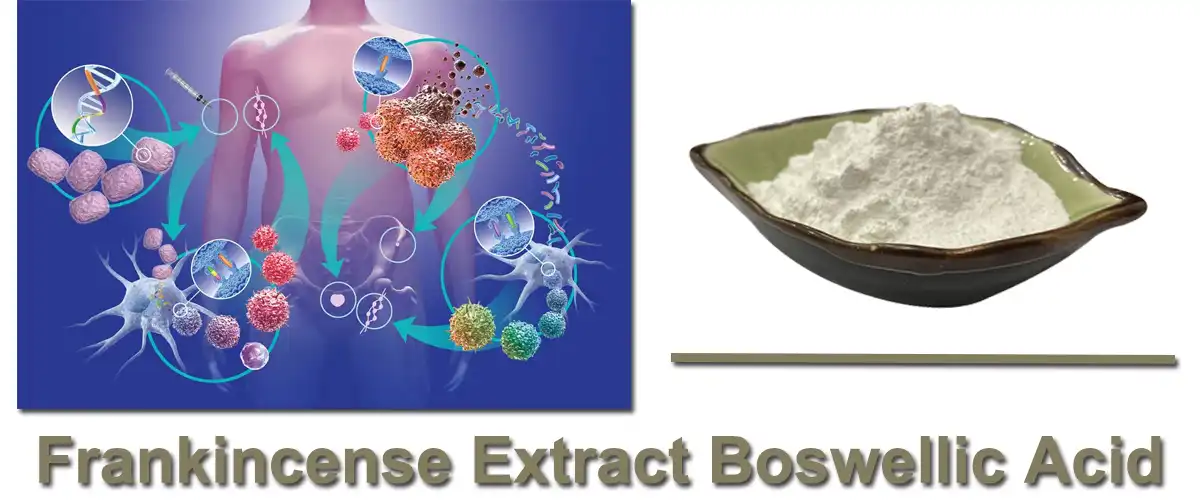 Frankincense Extract Boswellic Acid 2.jpg